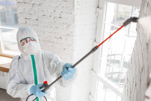 Mold Remediation for Rental Properties in Lake Wildwood, CA