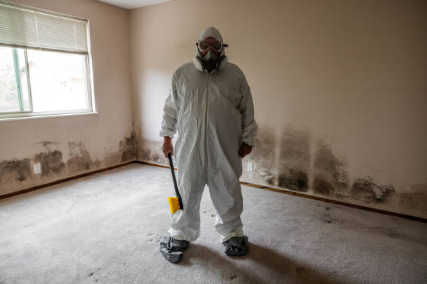 Best Mold Remediation for Healthcare Facilities  in Lake Wildwood, CA